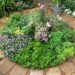 Pizza Garden: A Delicious and Nutritious Addition to Your Landscape