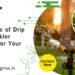 Water Wisely: The Magic of Drip and Sprinkler Systems for Your Garden